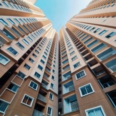 pexels-sincegameon-31830890-2